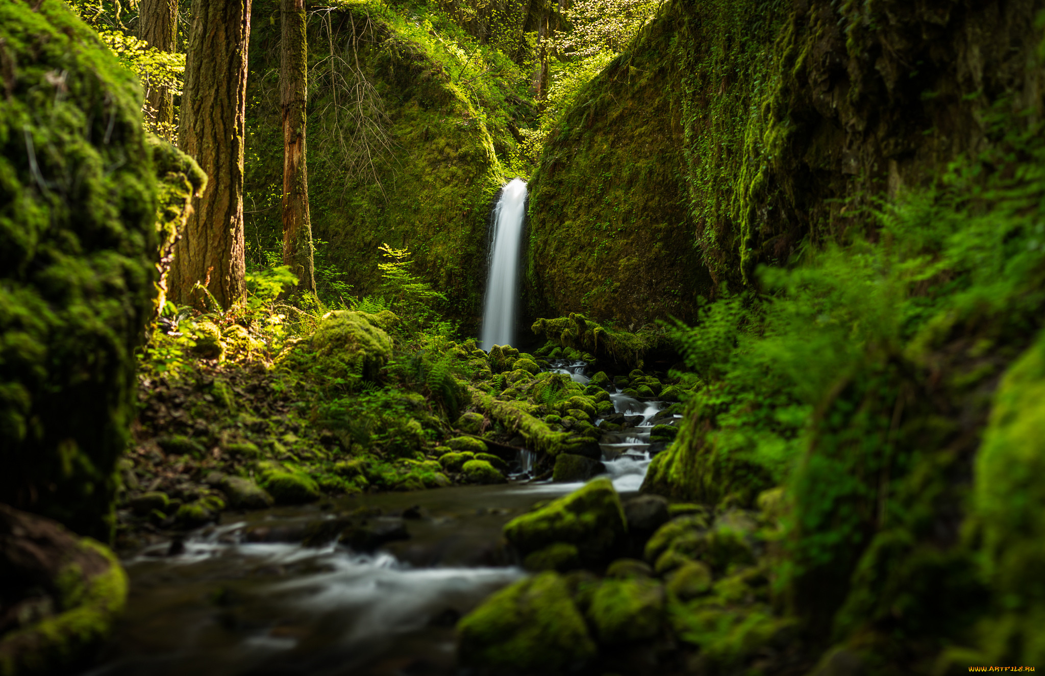 ruckel, creek, falls, , , , , oregon